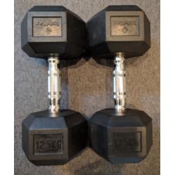 Bodymax 12.5-20kg Rubber Encased Hex Dumbbell Set - 4 pairs