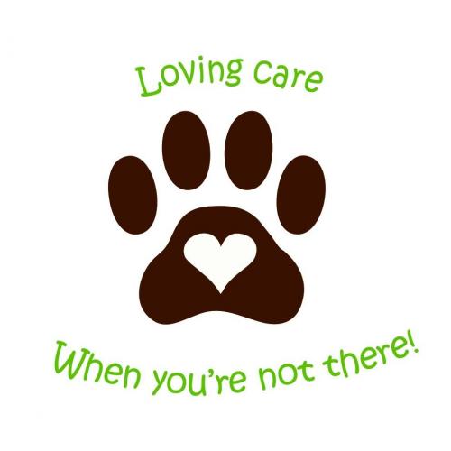 Professional and caring petsitter / dog walker