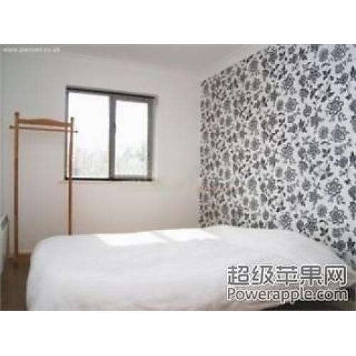 Big clean beautiful room in Canada water