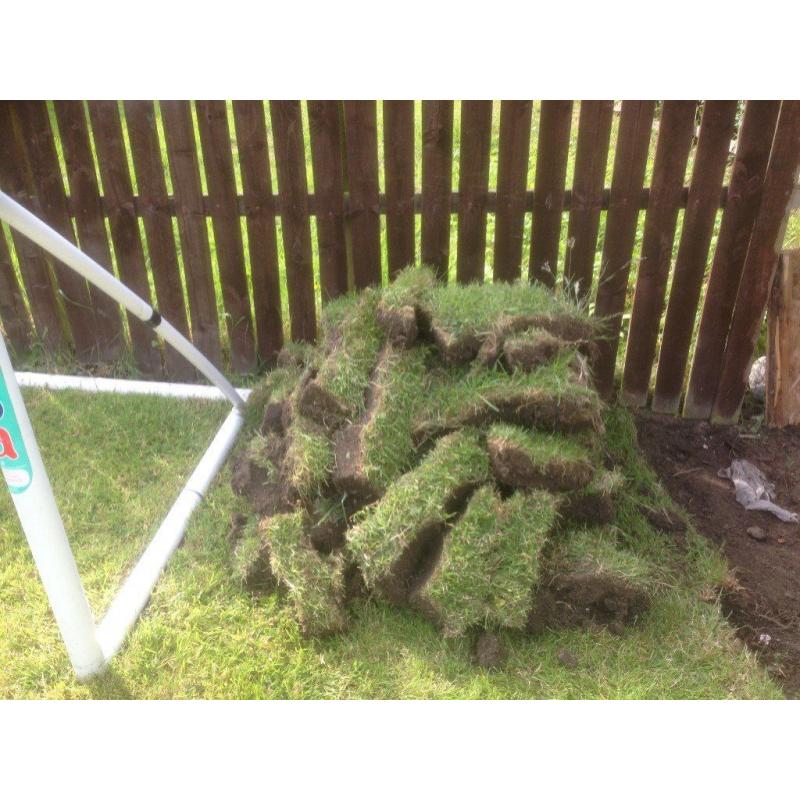 Garden Turf