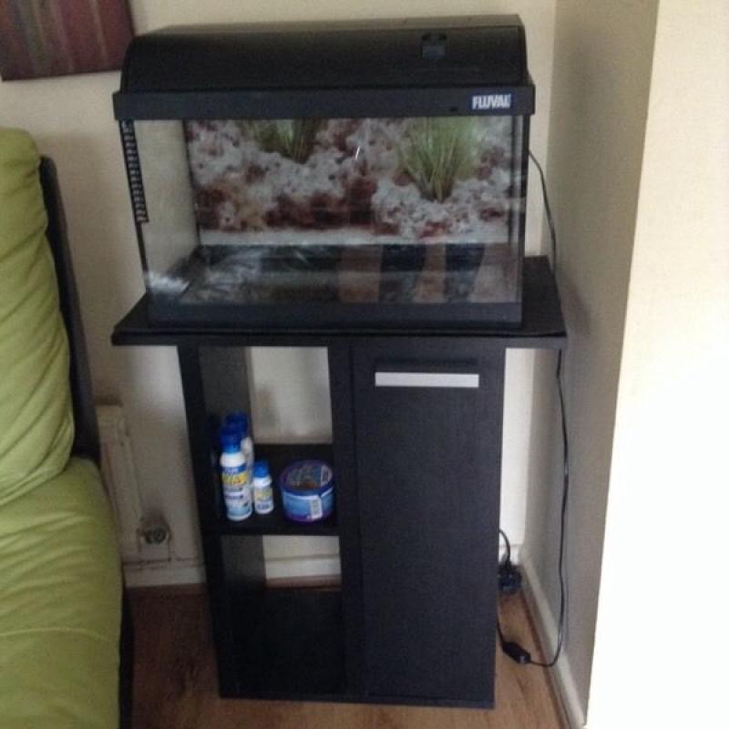 Tropical fish set