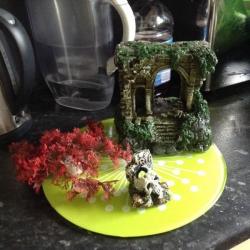 Tropical fish set