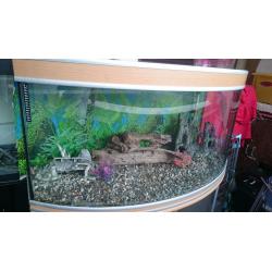 AQUA ONE 300 LITER BOW FRONTED FISH TANK FOR SALE,,FULL SET UP,,