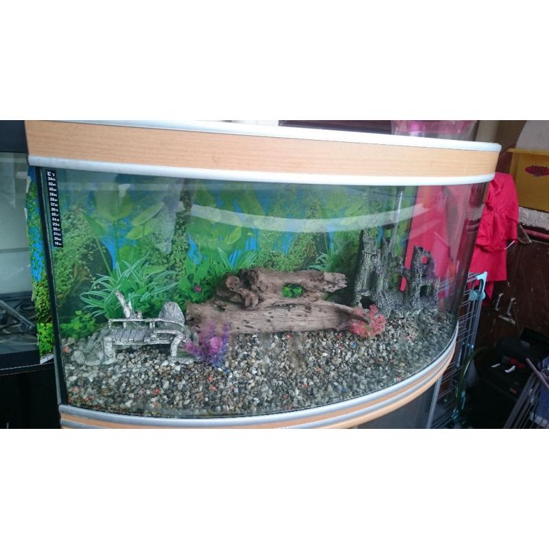 AQUA ONE 300 LITER BOW FRONTED FISH TANK FOR SALE,,FULL SET UP,,
