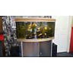 AQUA ONE 300 LITER BOW FRONTED FISH TANK FOR SALE,,FULL SET UP,,