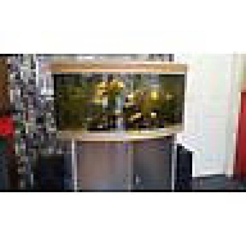 AQUA ONE 300 LITER BOW FRONTED FISH TANK FOR SALE,,FULL SET UP,,