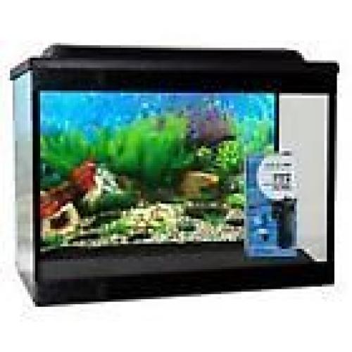 25 L glass fish tank