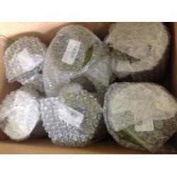 Wine Glasses BNIB By Sia