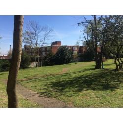 FABULOUS DOUBLE ROOM IN CAMDEN ROAD !!! 96D