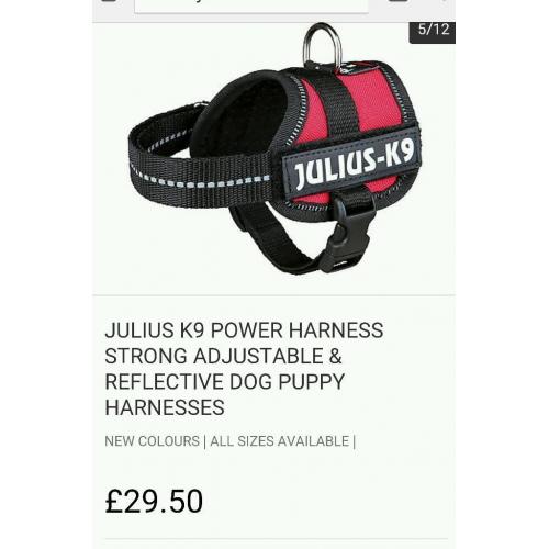 K9 Harness