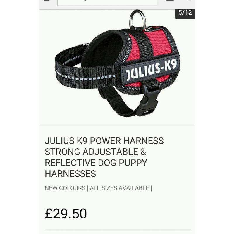 K9 Harness