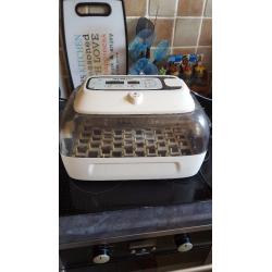 Incubator for sale