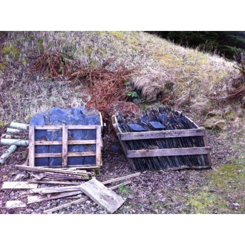 Ballachulish Slates for Sale.