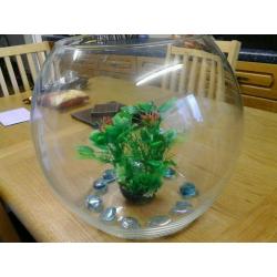 Very large fishbowl with 4 goldfish and accessories bargain