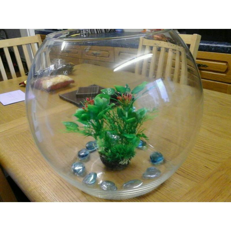 Very large fishbowl with 4 goldfish and accessories bargain