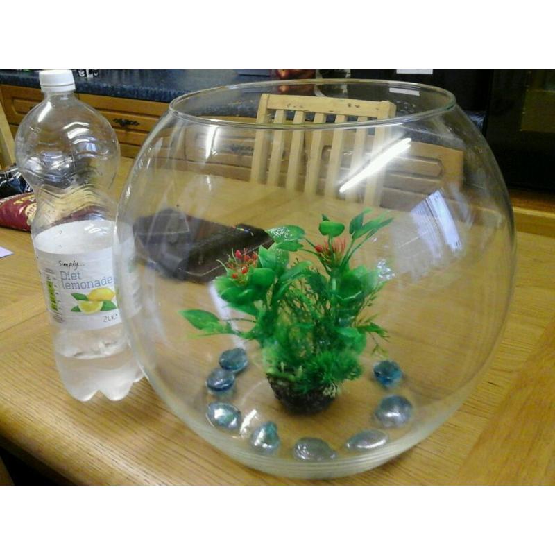 Very large fishbowl with 4 goldfish and accessories bargain