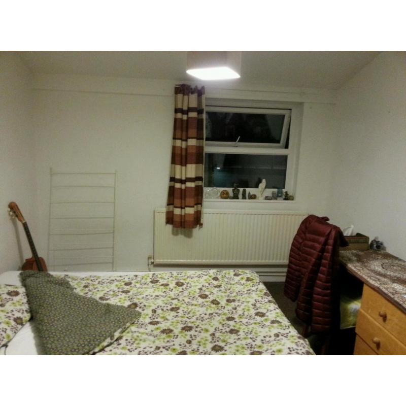 Roomshare for professional female