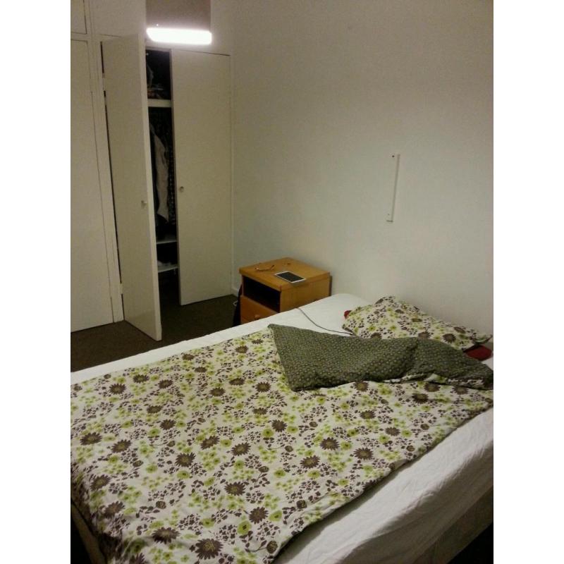 Roomshare for professional female