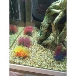 Fish tank!