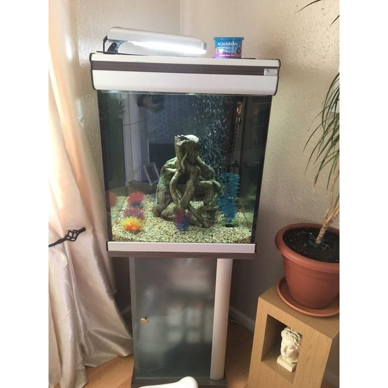 Fish tank!