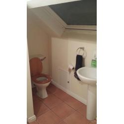 King size room available for rent