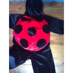 Ladybird dressing up outfit