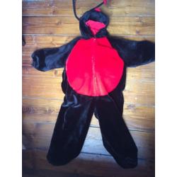 Ladybird dressing up outfit