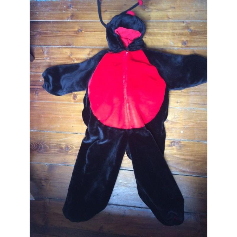 Ladybird dressing up outfit