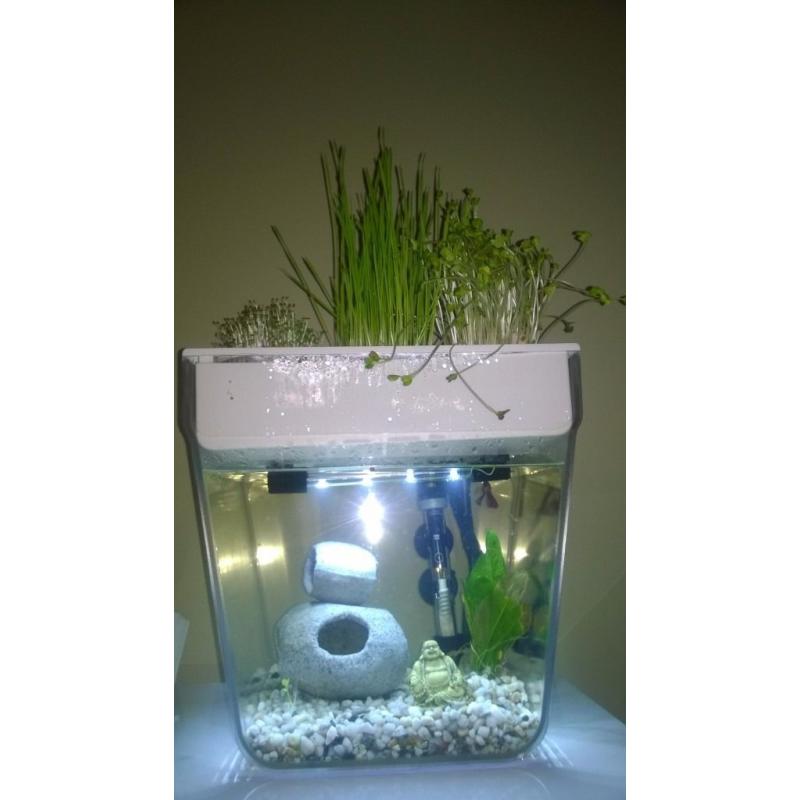 AQUA FARM FISH TANK & ACCESSORIES - hydroponic filtration set