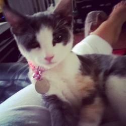fifi one year old