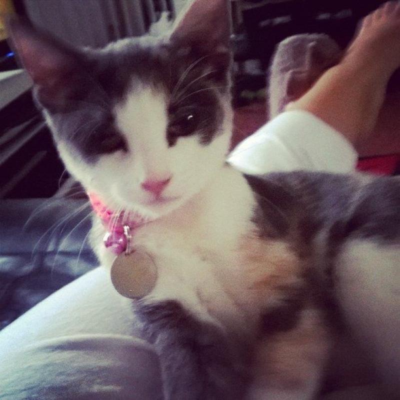 fifi one year old