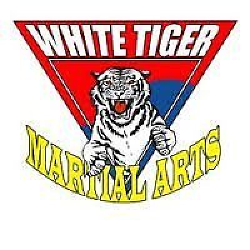 Shiro Tora Budo Kai – White Tiger Martial Arts Association - Croydon