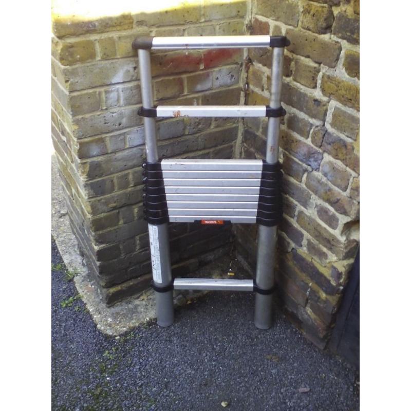 telescopic ladder telesteps professional