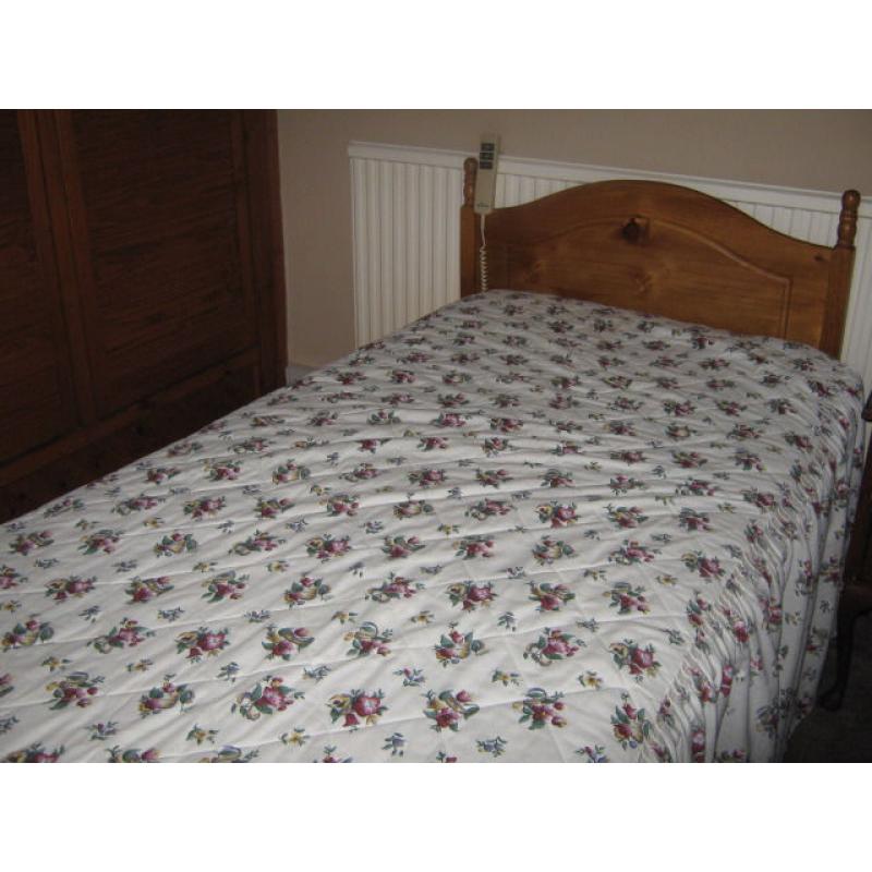 Electric Bed