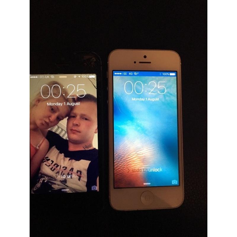 Looking for iPhone 6