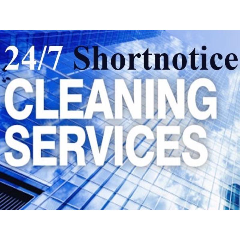 Professional Domestic Cleaning Services Reliable and Honest Services