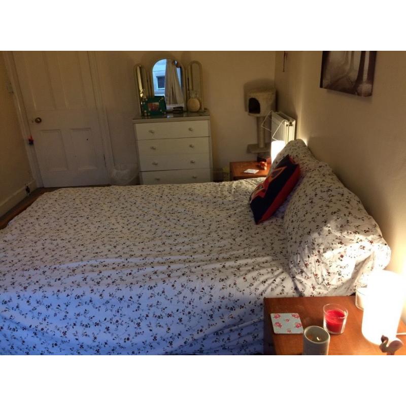 Lovely cozy room in Bruntsfield.
