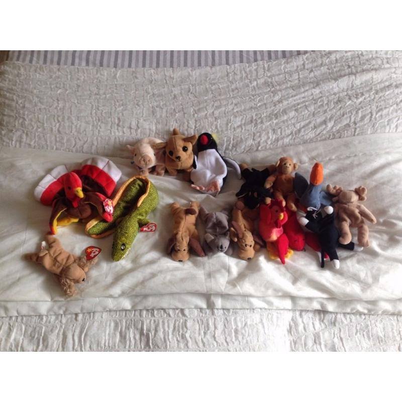 Selection of Beanie Babies and Teeny Beanie Babies