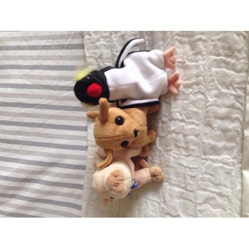 Selection of Beanie Babies and Teeny Beanie Babies