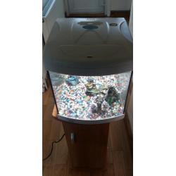 Fish tank