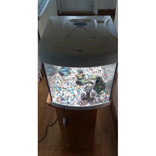 Fish tank