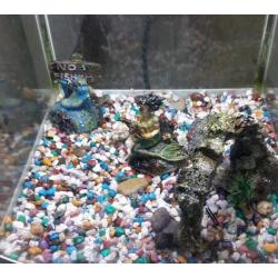 Fish tank