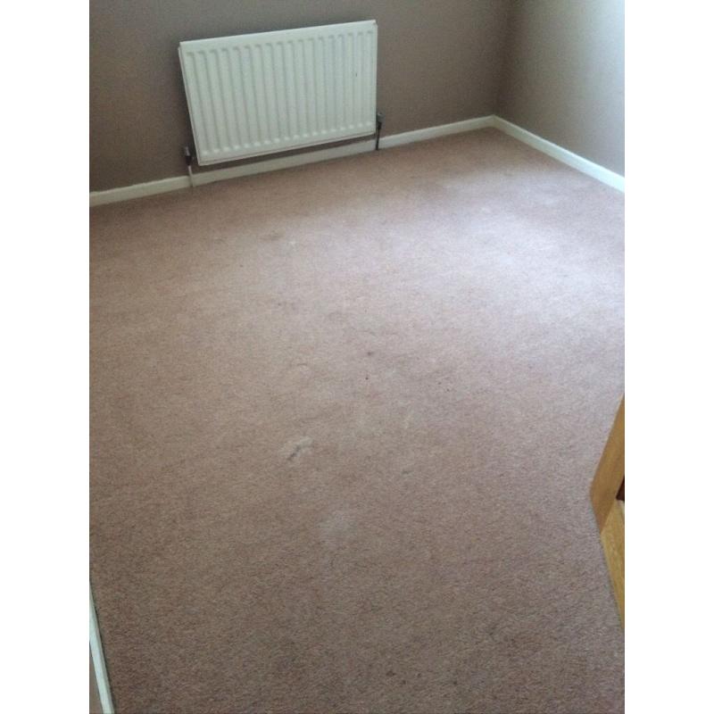 Carpet