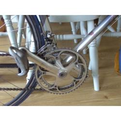 VITUS OVOID 992 DURAL. 55 cm