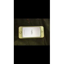 iPhone 5s white and gold