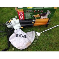 Ryobi Leaf vacuum with bonus leaf rake!