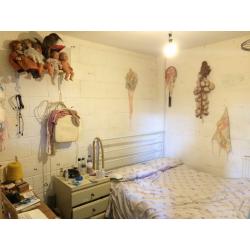 Room Available in Creative Warehouse - Starting August 15th