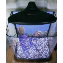 Fish Tank Aquarium