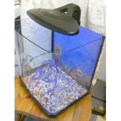 Fish Tank Aquarium