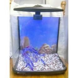 Fish Tank Aquarium